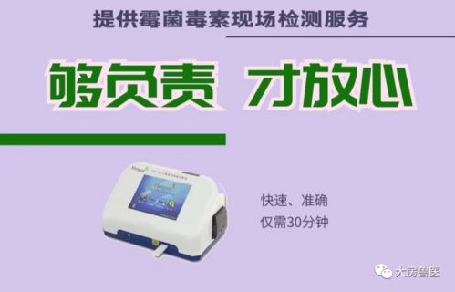 家禽养殖双刃剑 免疫抑制与霉菌毒素的综合防控策略