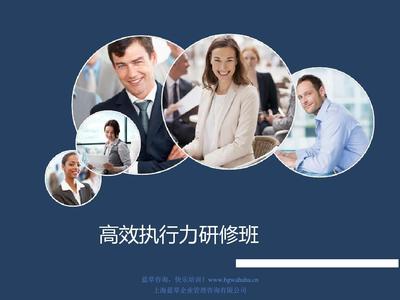 打造一流的高效执行力技术咨询